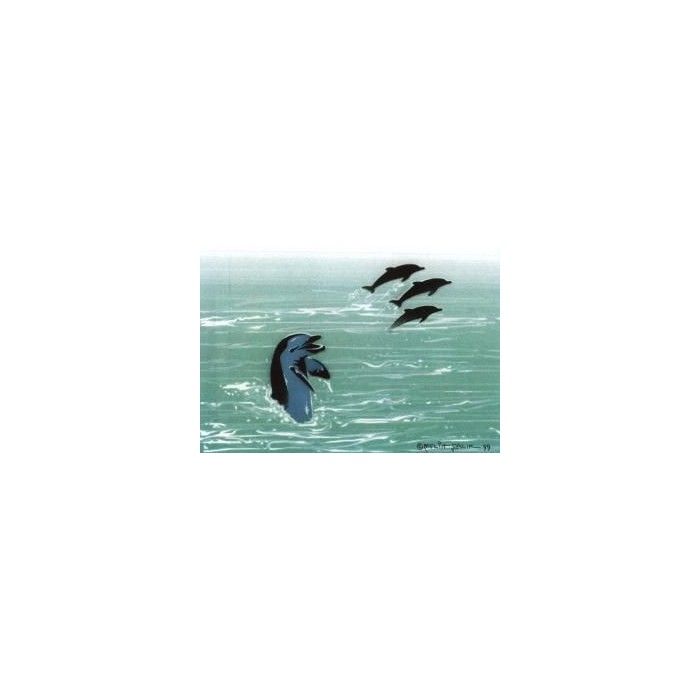 Dolfijn stencil set